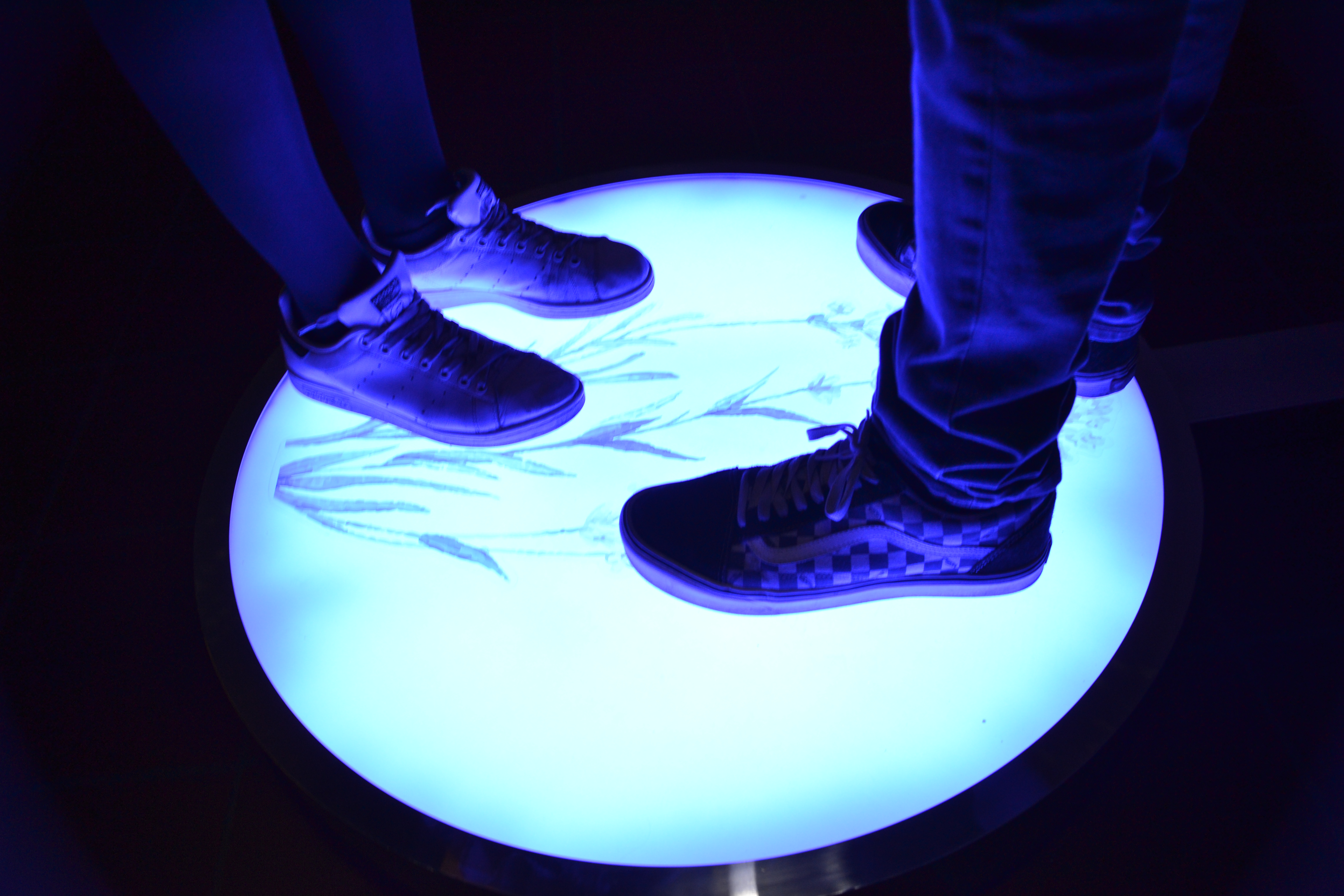 " Reminescences of Emotions" di Smrekar e Strehovec