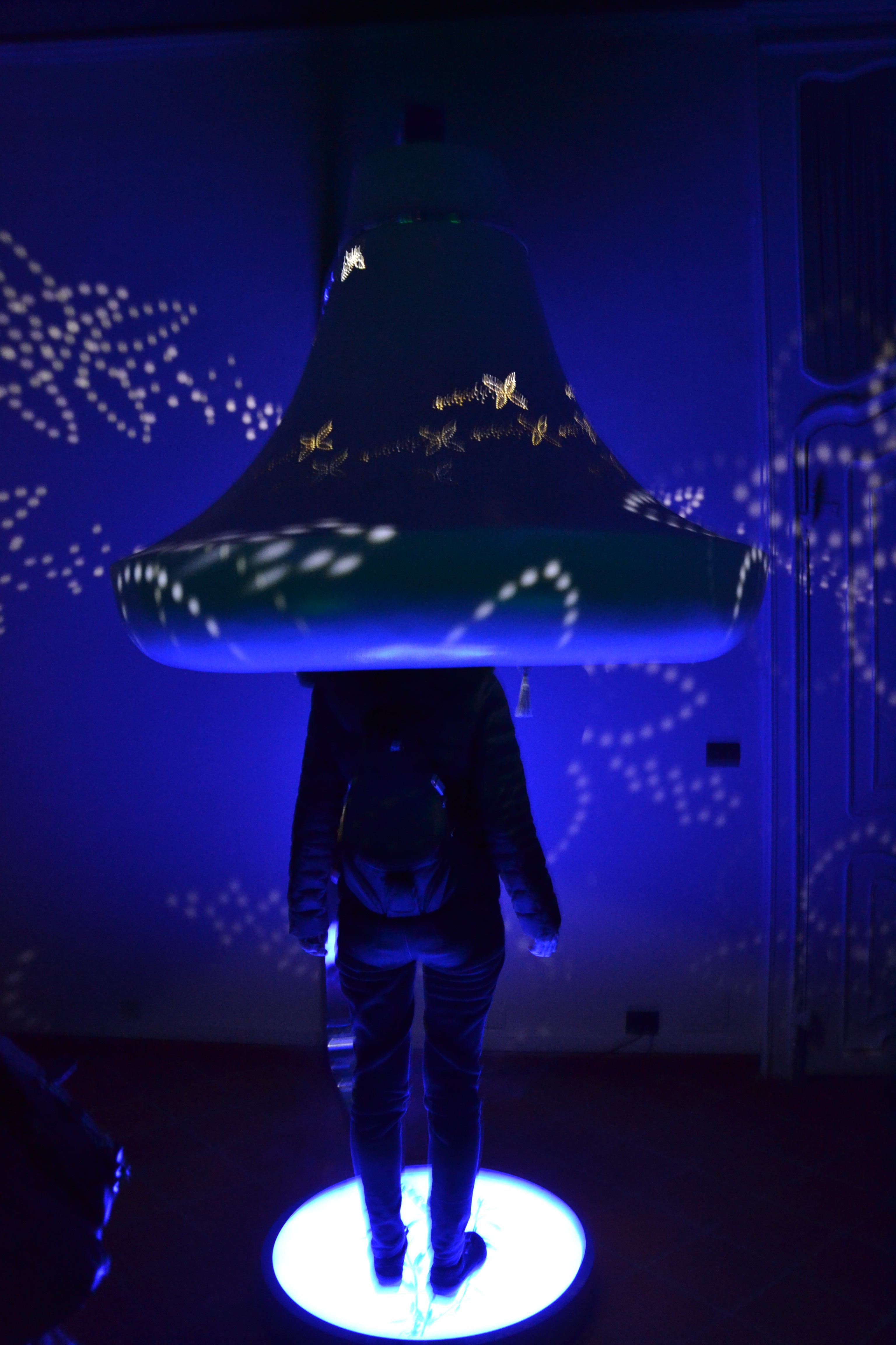 " Reminescences of Emotions" di Smrekar e Strehovec